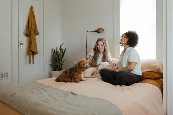 Cosy Memory Foam Pet Bed