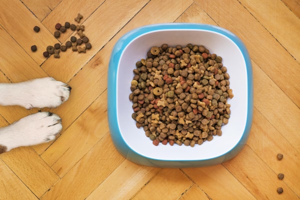 Premium Pet Food Bag 10kg